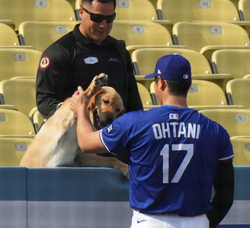 ワンちゃんとタッチをするドジャース大谷（撮影・菅敏）
