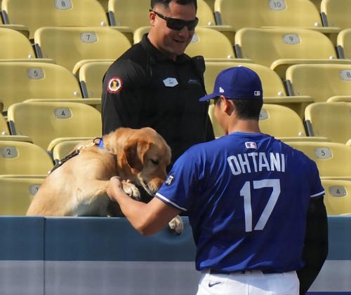 ワンちゃんと握手をするドジャース大谷（撮影・菅敏）