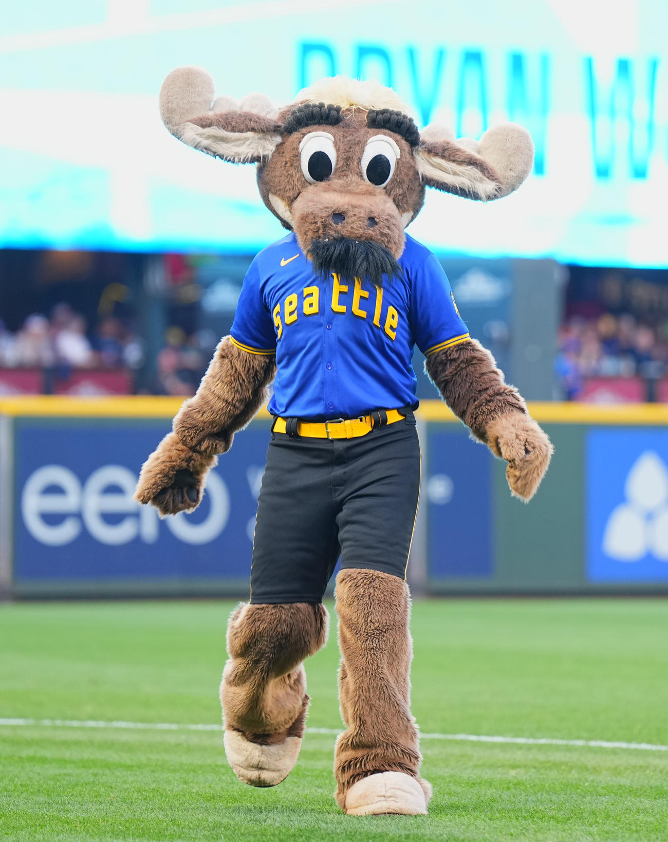 9月26日　マリナーズ対ドジャース　試合前にフィールドを駆け回るマリナーズ・マスコットのマリナー・ムース（撮影・菅敏）