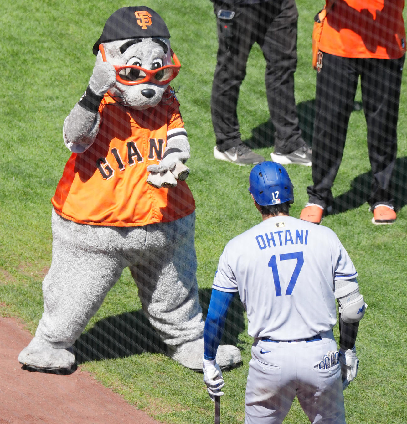 9月14日、ジャイアンツ対ドジャース　試合開始直前、ジャイアンツのマスコットのルー・シールとじゃんけんをする大谷翔平（撮影・菅敏）