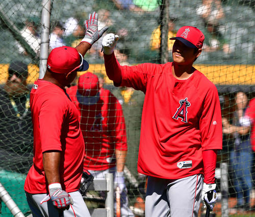 エンゼルス対アスレチックス　開幕戦を前にチームメートとタッチを交わす大谷（撮影・清水貴仁）