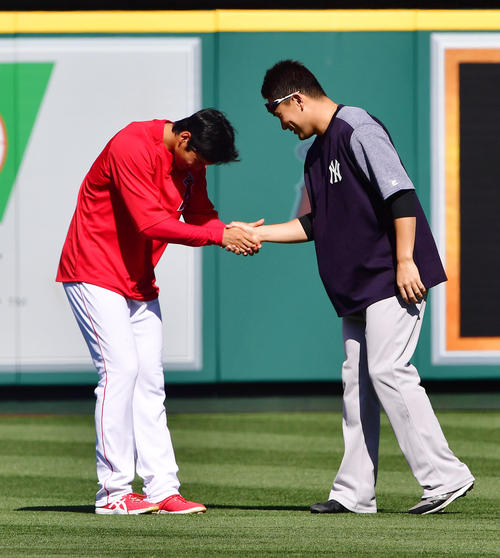エンゼルス対ヤンキース　試合前の練習中にヤンキース田中（右）に握手であいさつをするエンゼルス大谷（撮影・清水貴仁）