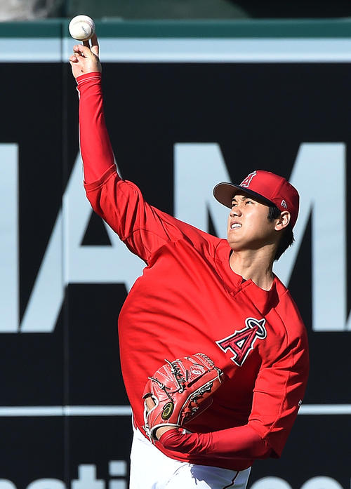 エンゼルス対ツインズ 試合前、キャッチボールで調整するエンゼルス大谷(撮影・菅敏)