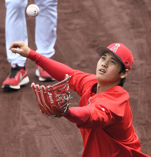 エンゼルス対レイズ　試合前の練習で投げ上げたボールをキャッチするエンゼルス大谷（撮影・菅敏）