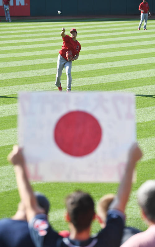 インディアンス対エンゼルス 試合前、日の丸を掲げるファンを前にキャッチボールをするエンゼルス大谷(撮影・菅敏)