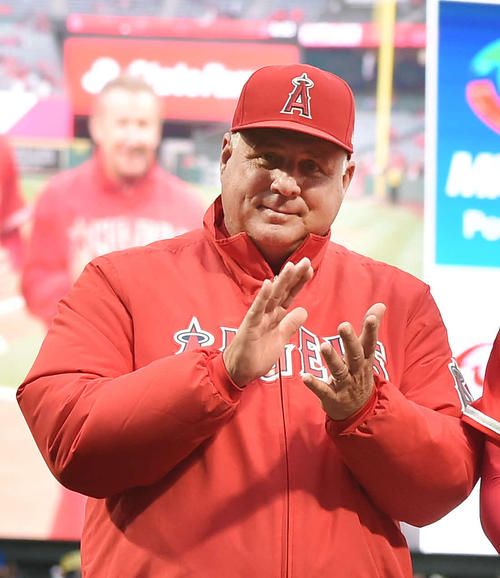ソーシア監督退任へ 10年55億円契約終了 - MLB : 日刊スポーツ