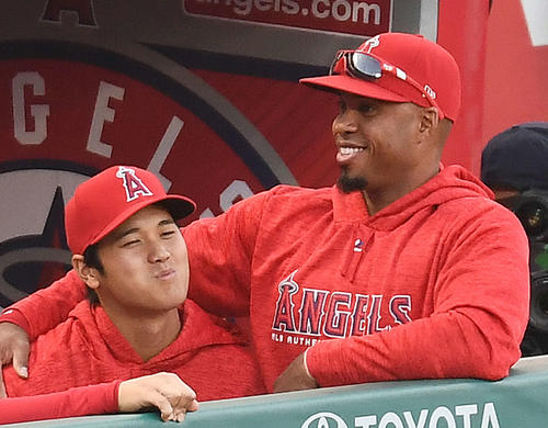 大谷同僚バルブエナらの死亡事故で男４人が拘束 ｍｌｂ 日刊スポーツ
