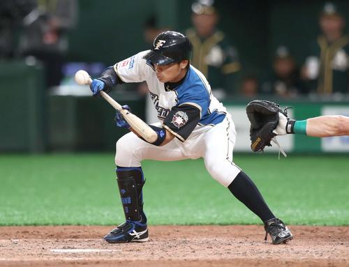日本ハム対アスレチックス 5回裏日本ハム1死三塁、スクイズを決める中島(撮影・黒川智章)