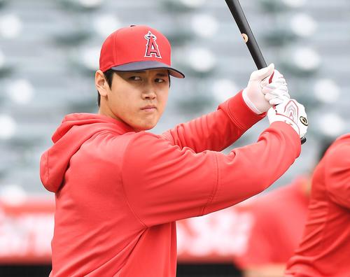 エンゼルス対ロイヤルズ　試合前、打撃練習をするエンゼルス大谷（撮影・菅敏）