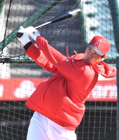 エンゼルス対ツインズ　試合前、フリー打撃をするエンゼルス大谷（撮影・菅敏）