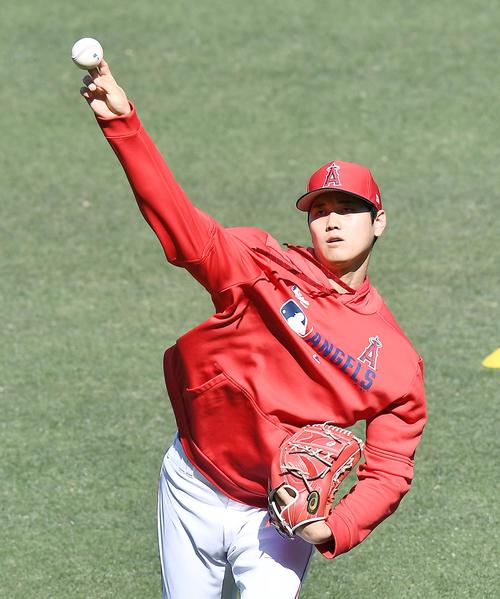 エンゼルス対ツインズ　試合前の練習でキャッチボールをするエンゼルス大谷（撮影・菅敏）