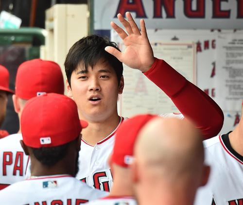 エンゼルス対ツインズ　試合開始前、ベンチでナインに左手でタッチをするエンゼルス大谷（撮影・菅敏）