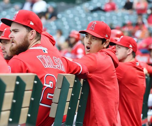 エンゼルス対ツインズ　ベンチから試合を見守るエンゼルス大谷。左から2人目はウォルシュ（撮影・菅敏）
