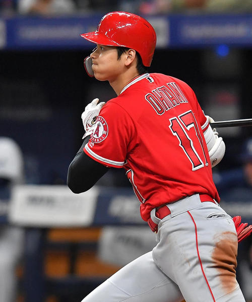 エンゼルス大谷（19年6月撮影・菅敏）