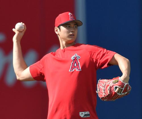 ブルージェイズ対エンゼルス　試合前、キャッチボールをするエンゼルス大谷（撮影・菅敏）