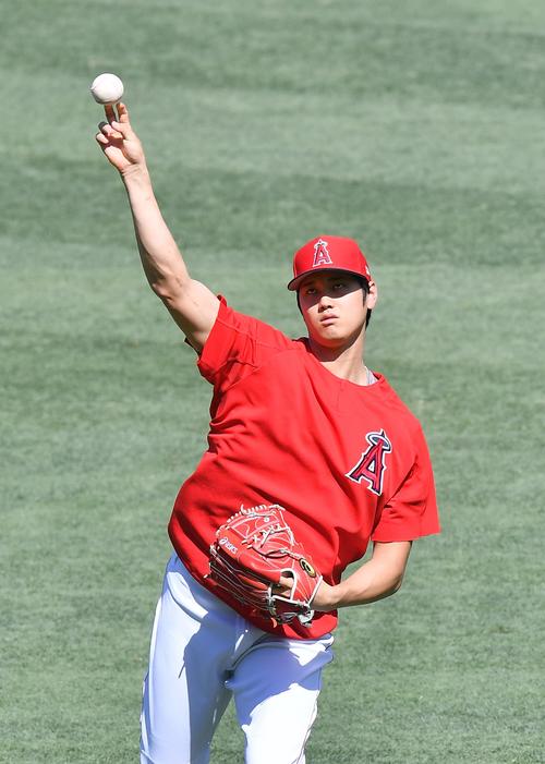 エンゼルス対タイガース　試合前、キャッチボールで調整するエンゼルス大谷（撮影・菅敏）