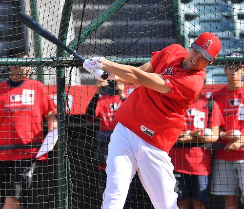 タイガースとの試合前、フリー打撃をするエンゼルス大谷（撮影・菅敏）