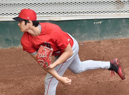 ブルペンで投球練習をするエンゼルス大谷（撮影・菅敏）