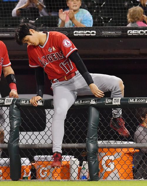 ホワイトソックスに勝利し、フェンスを乗り越え、フィールドに向かうエンゼルス大谷（撮影・菅敏）