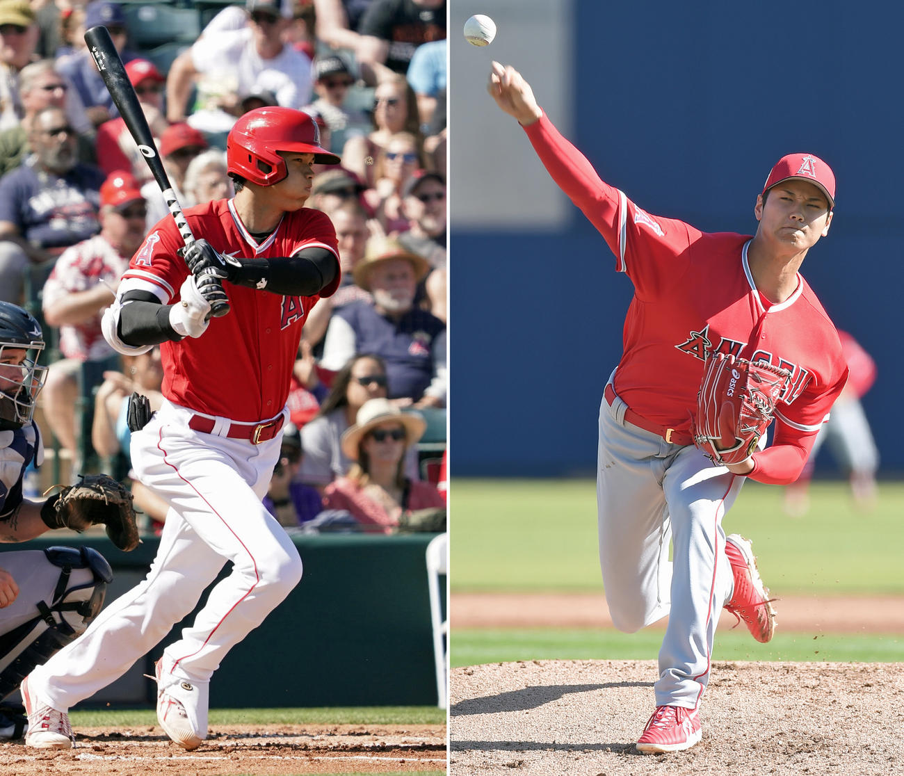 大谷翔平