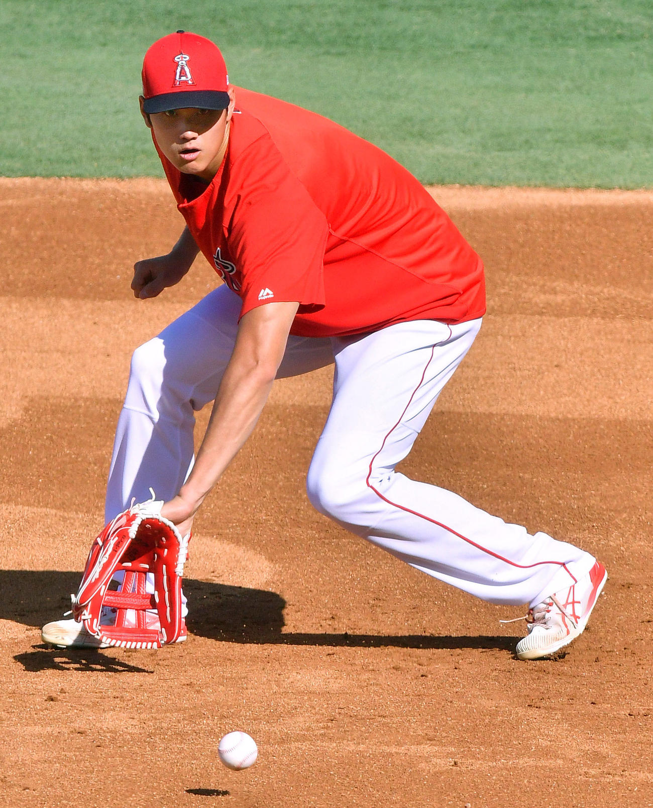 ノックを受けるエンゼルス大谷（共同）