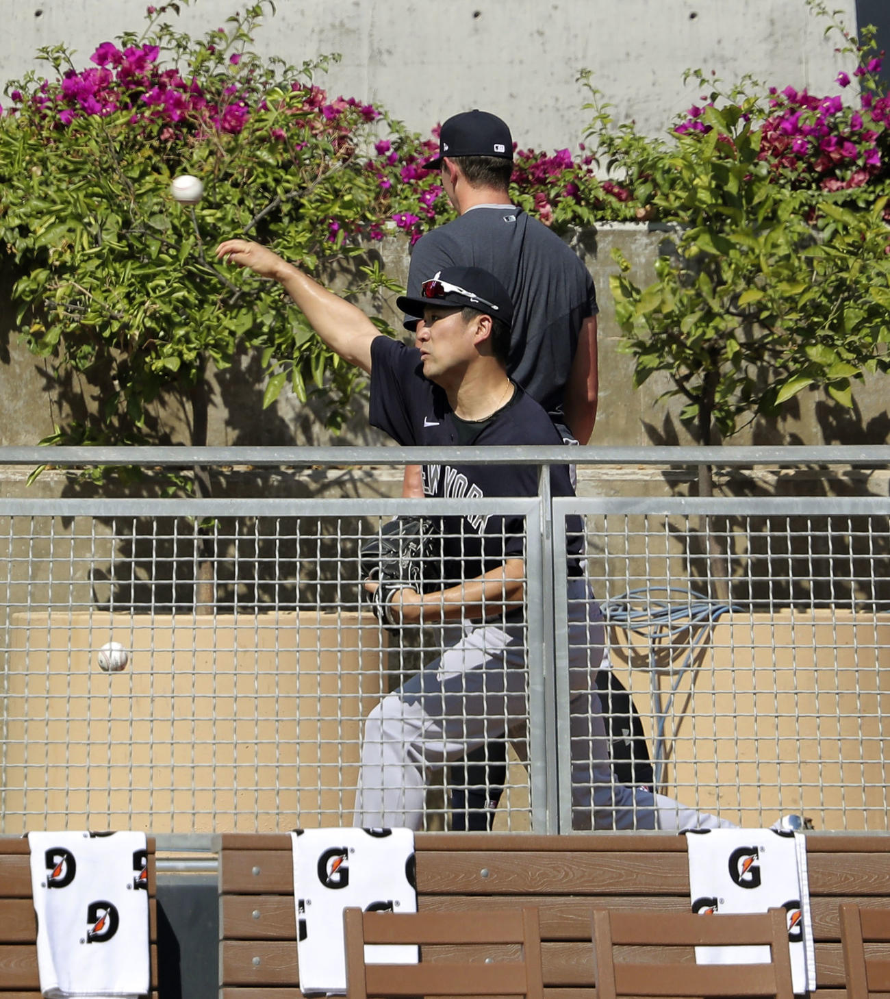試合前、ブルペンで投球練習するヤンキース田中（共同）