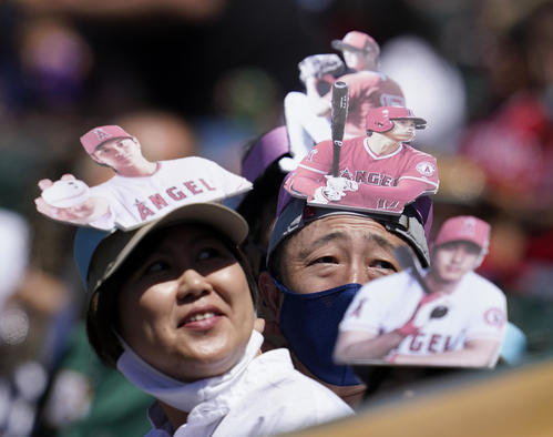 アスレチックス戦で、エンゼルス大谷の写真を帽子につけて応援するファン(AP=共同)