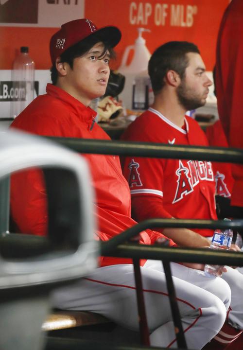 ジャイアンツ戦をベンチで見守るエンゼルス大谷（共同）