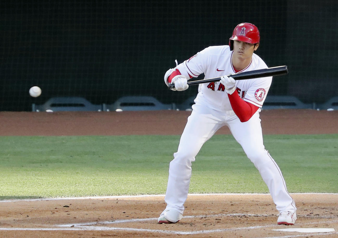 ロイヤルズ戦の1回、初球バントの構えを見せるエンゼルス大谷（共同）