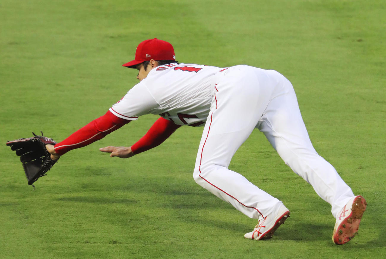 タイガース戦の4回、カンデラリオのバントに飛びつくエンゼルス・大谷。安打となる＝アナハイム（共同）