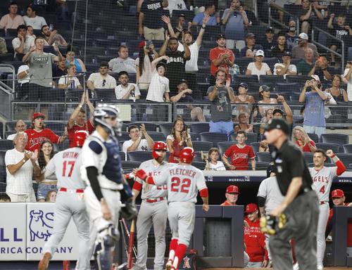 ヤンキース戦の5回、2打席連続本塁打となる28号2ランを放ったエンゼルス・大谷(17)と、観客席で盛り上がるファン(共同)