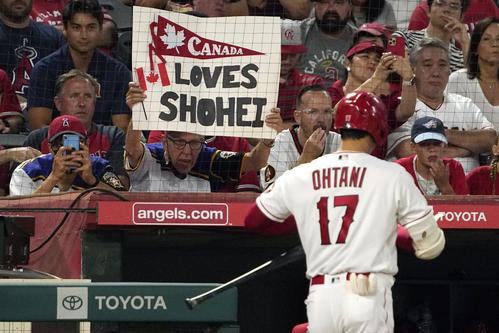 エンゼルスタジアムの大谷ファン（AP）