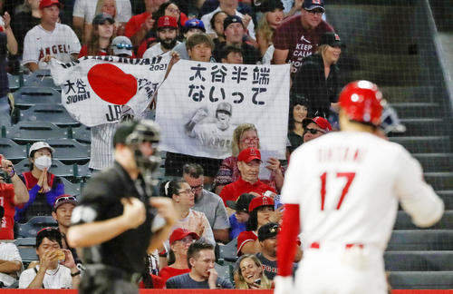 マリナーズ戦の8回、打席に立つエンゼルス・大谷（17）を応援するファン＝アナハイム（共同）