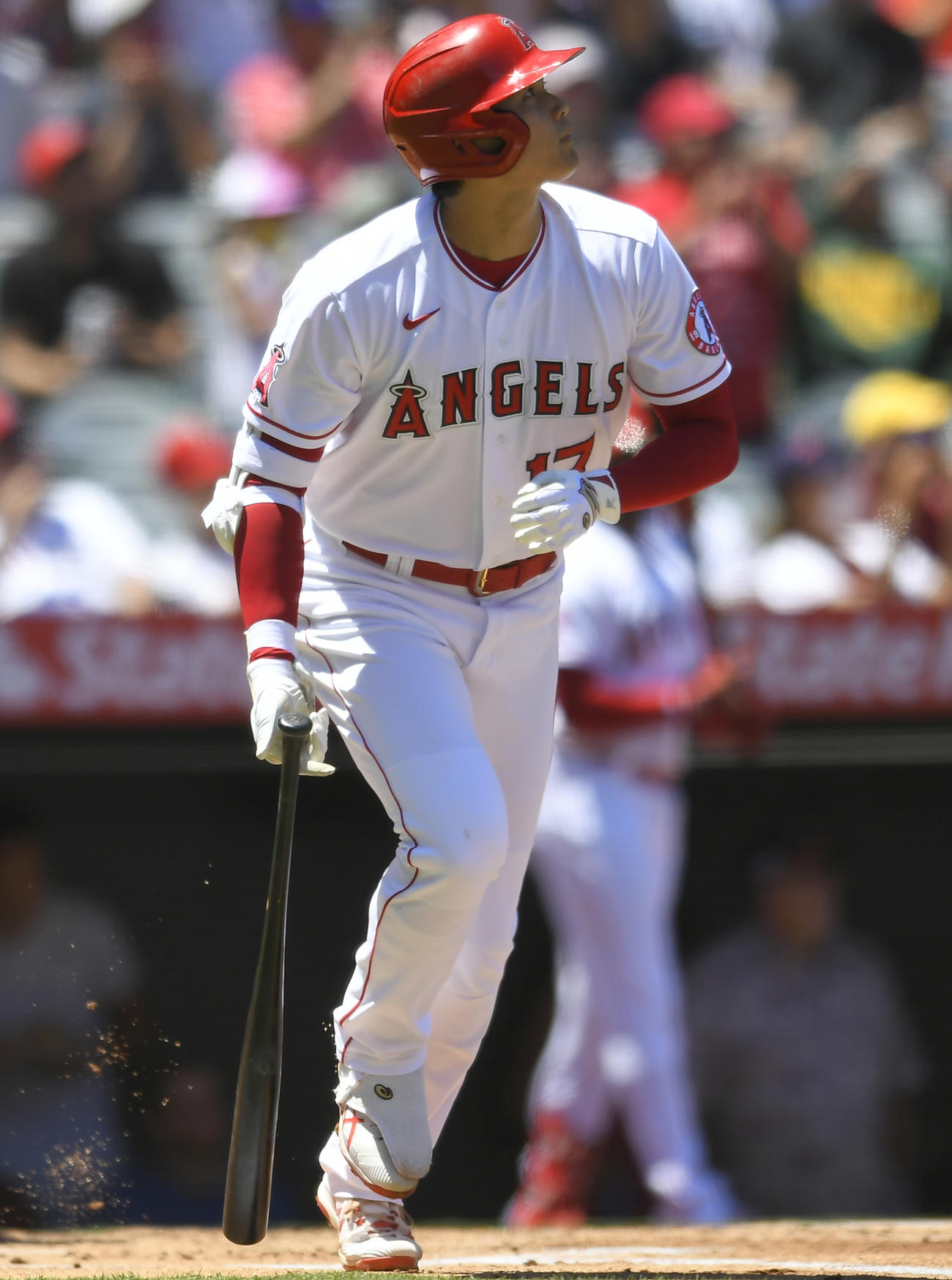 1回、左飛に倒れた大谷（AP）