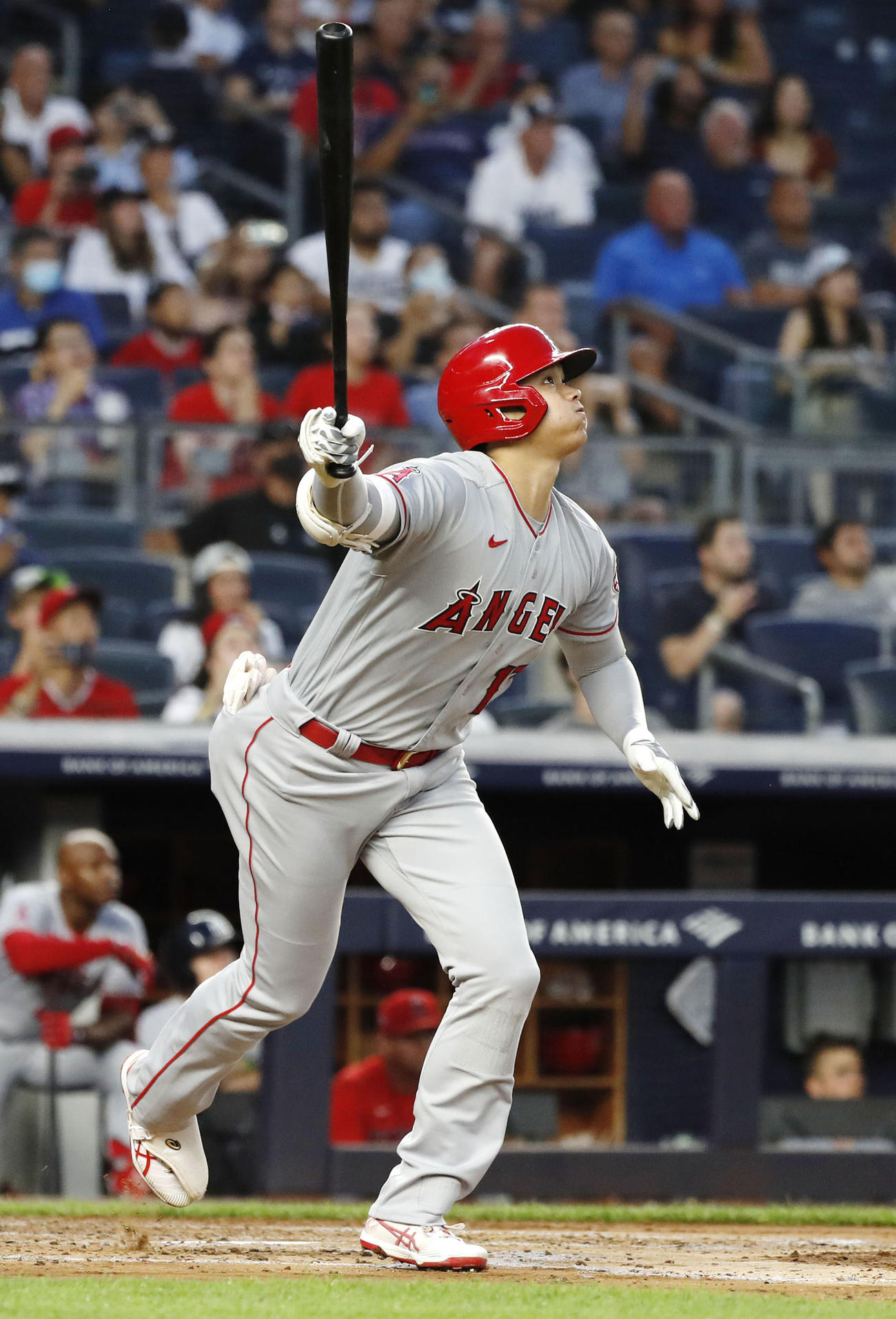 ヤンキース戦の3回、右飛に倒れるエンゼルス・大谷＝ニューヨーク（共同）