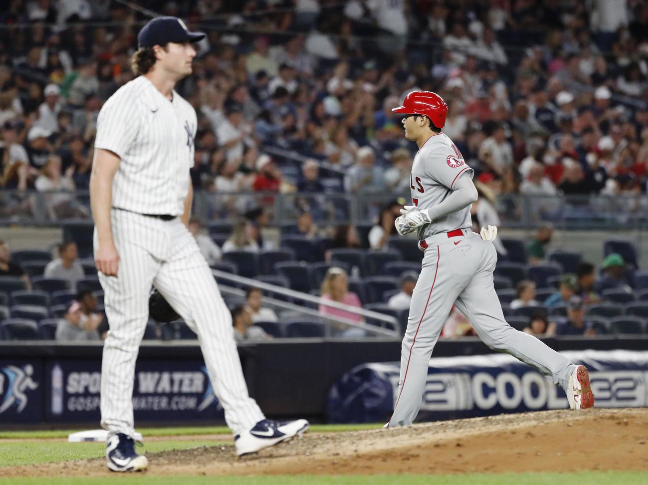 ヤンキース戦の6回、右飛に倒れたエンゼルス・大谷。左は投手コール＝ニューヨーク（共同）