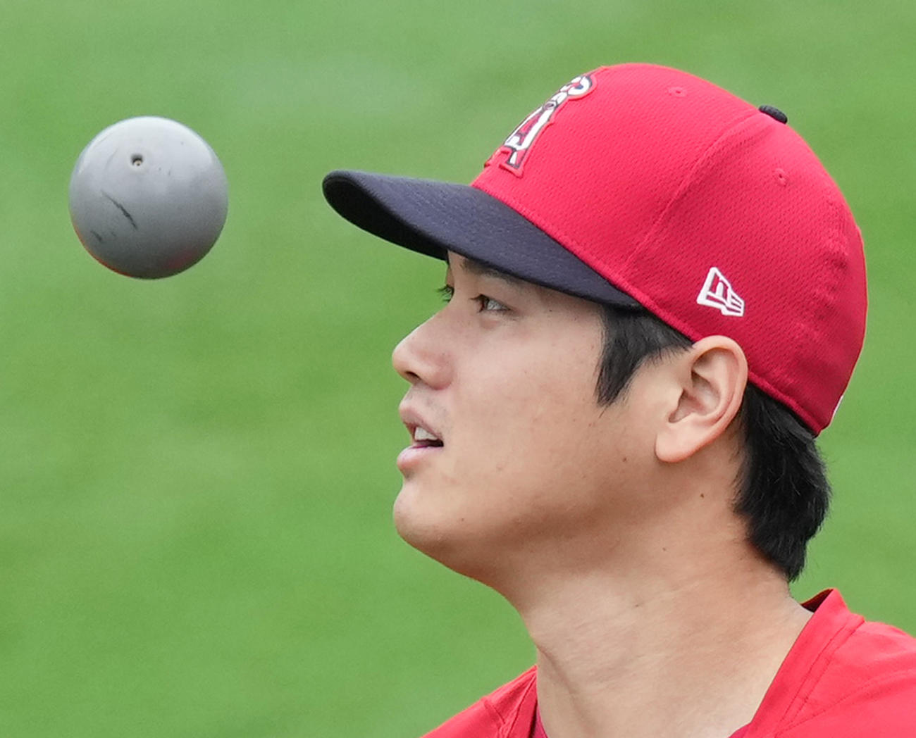 エンゼルス対ヤンキース　試合前の練習中に投げたボールを見つめるエンゼルス大谷（撮影・菅敏）