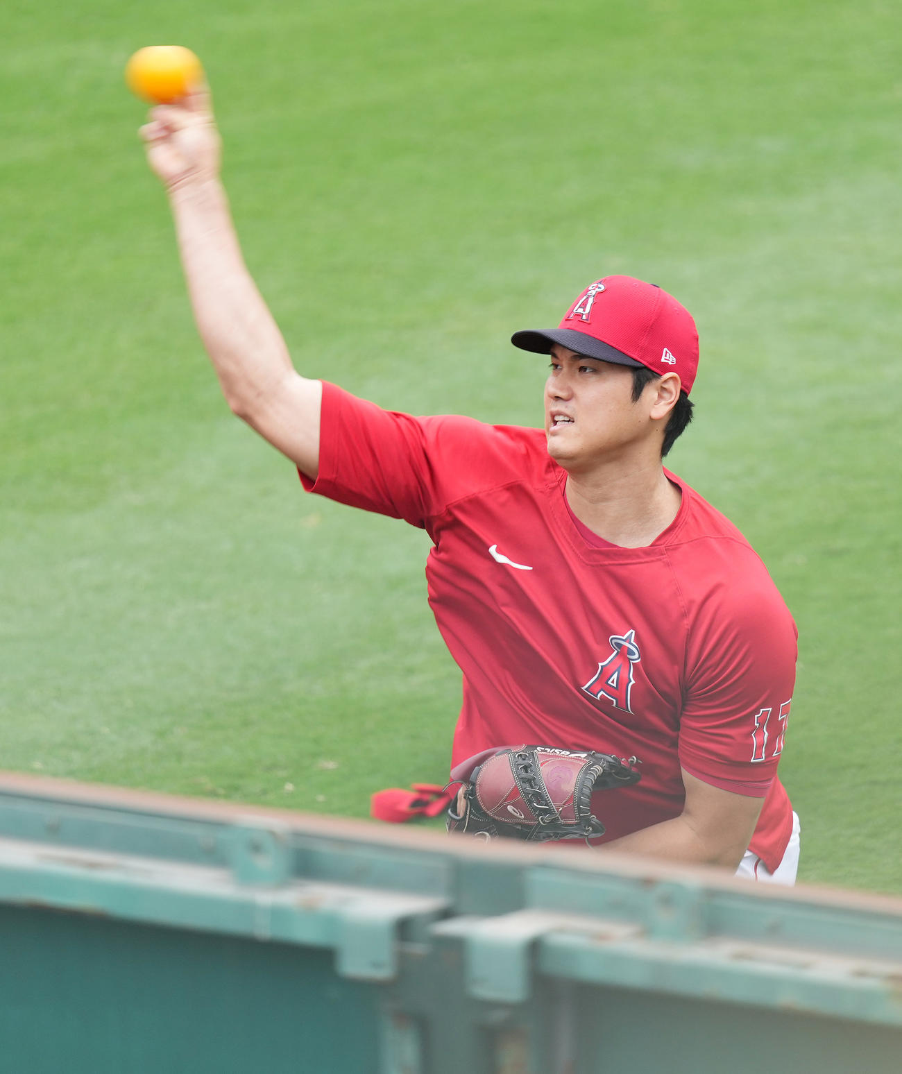 エンゼルス対ヤンキース　試合前、壁に向かって投げ込むエンゼルス大谷（撮影・菅敏）
