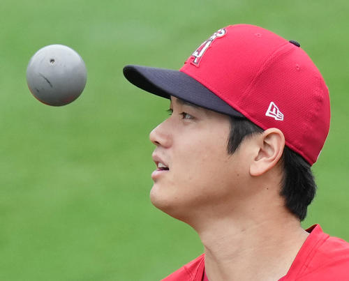 エンゼルス対ヤンキース　試合前の練習中に投げたボールを見つめるエンゼルス大谷（撮影・菅敏）