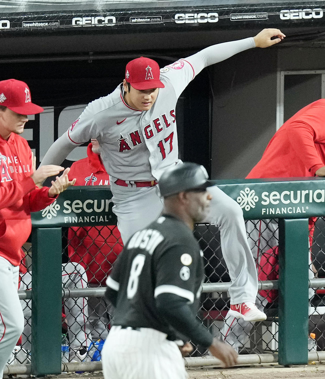 ホワイトソックスに勝利し、フェンスを乗り越えフィールドに向かうエンゼルス大谷（撮影・菅敏）