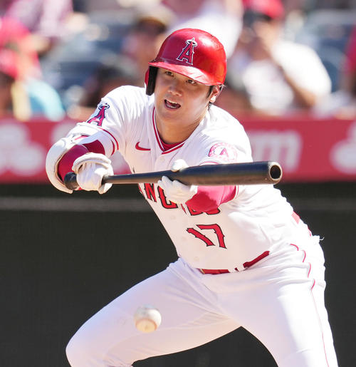 大谷翔平の信念 犠牲 バント 確率が高そうなものをチョイス 本塁打より mlb写真ニュース 日刊スポーツ 大谷翔平の信念 犠牲 バント 確率が高そうなものをチョイス 本塁打より mlb写真ニュース 日刊スポーツ