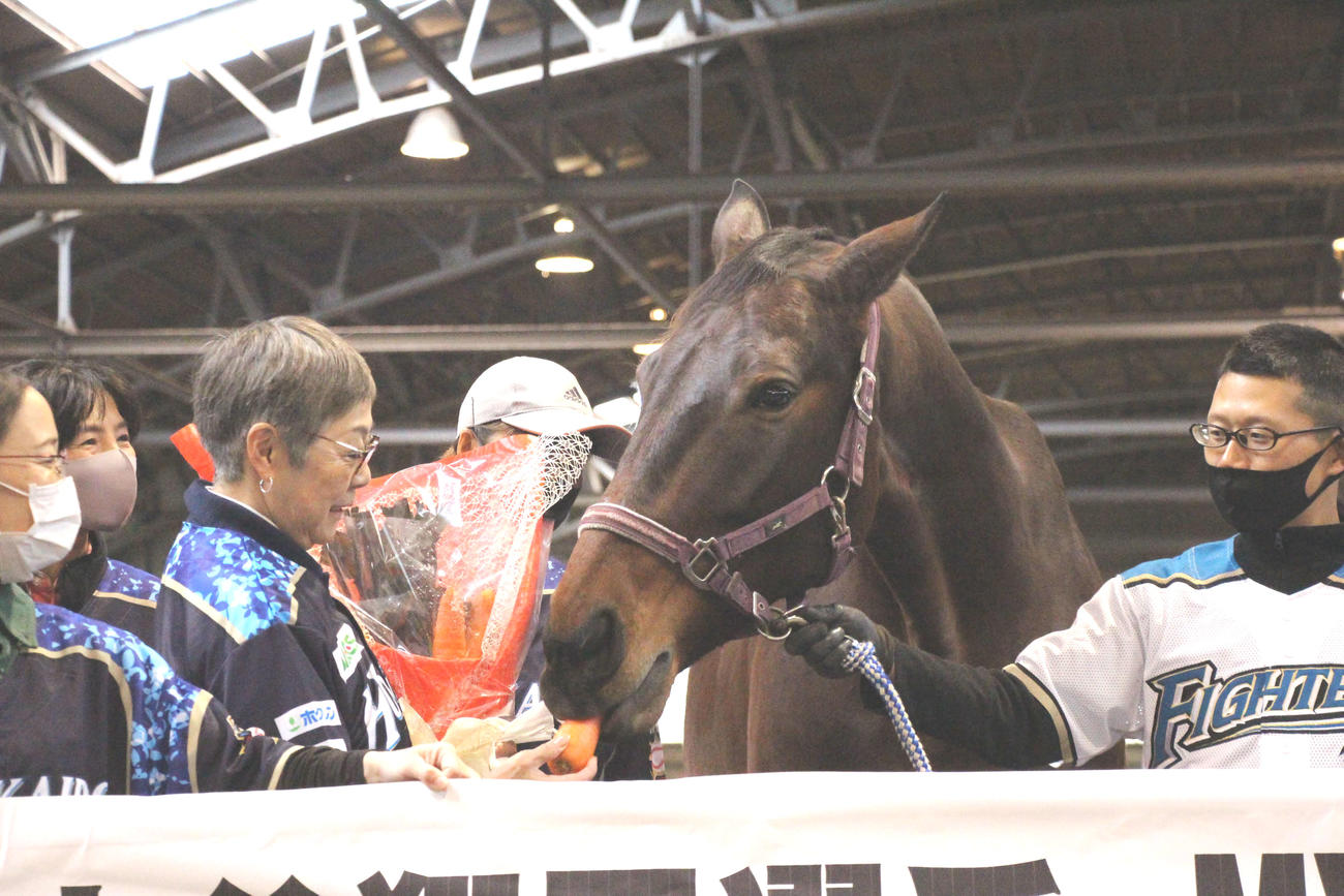 大谷のア・リーグMVP受賞を祝し、日本ハム時代の大谷に命名された乗馬療育用馬「スターイレブン」（中央）にブーケが贈呈される（浦河町提供）