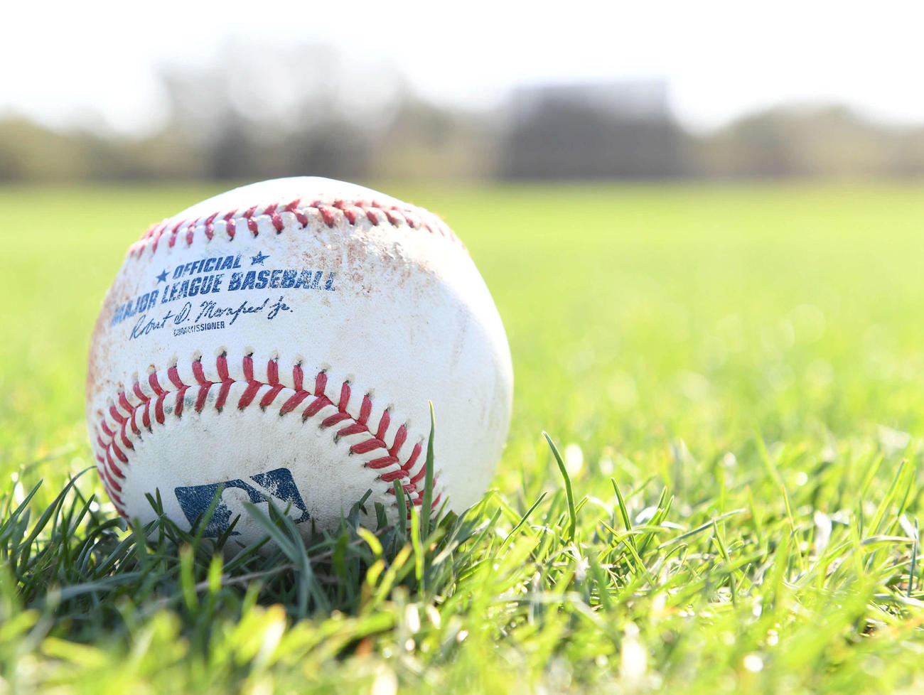 スプリングトレーニングの練習場に転がるMLBの公式球（20年2月撮影・山崎安昭）