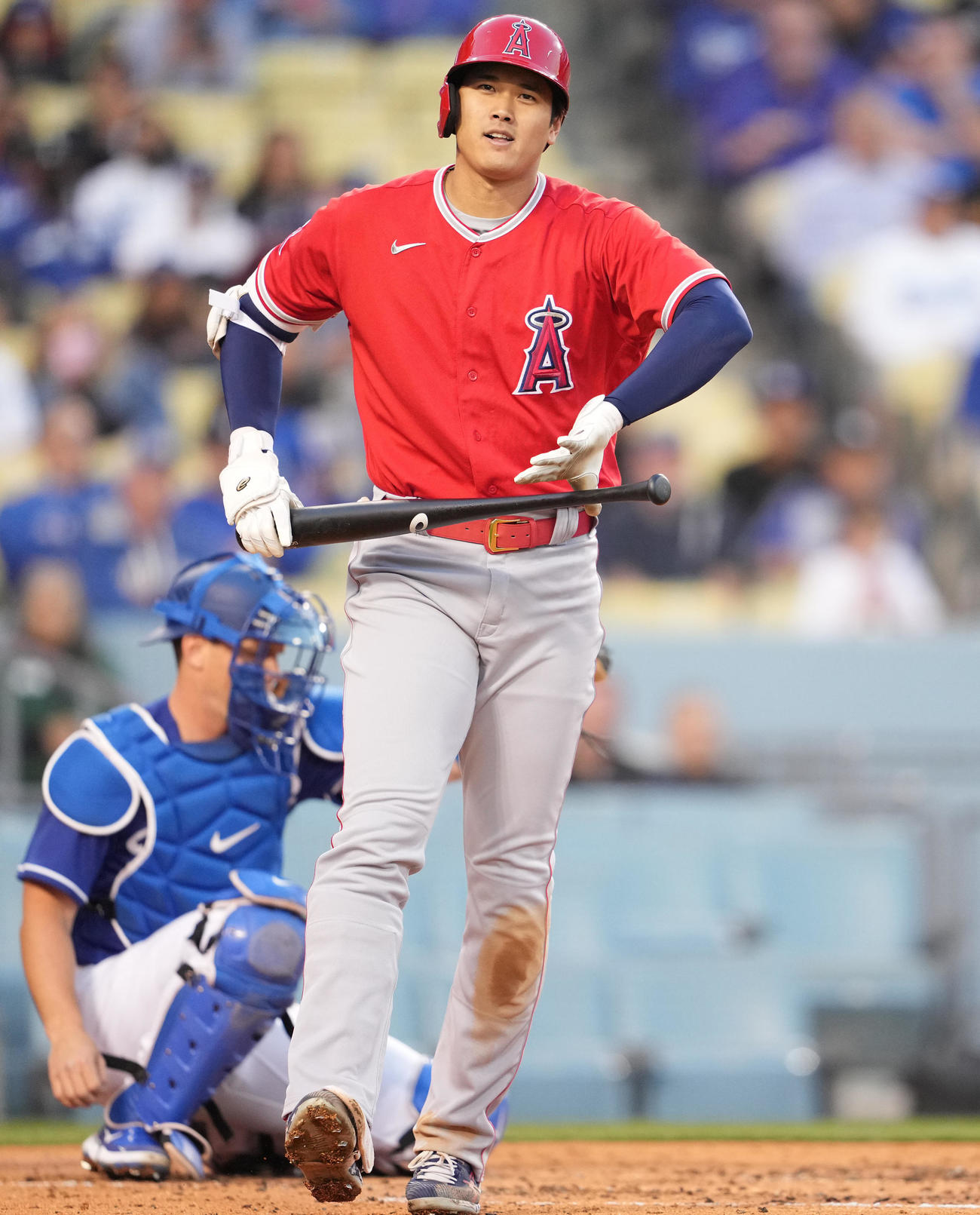 ドジャース対エンゼルス　3回表エンゼルス無死、四球を選ぶ大谷（撮影・鈴木みどり）