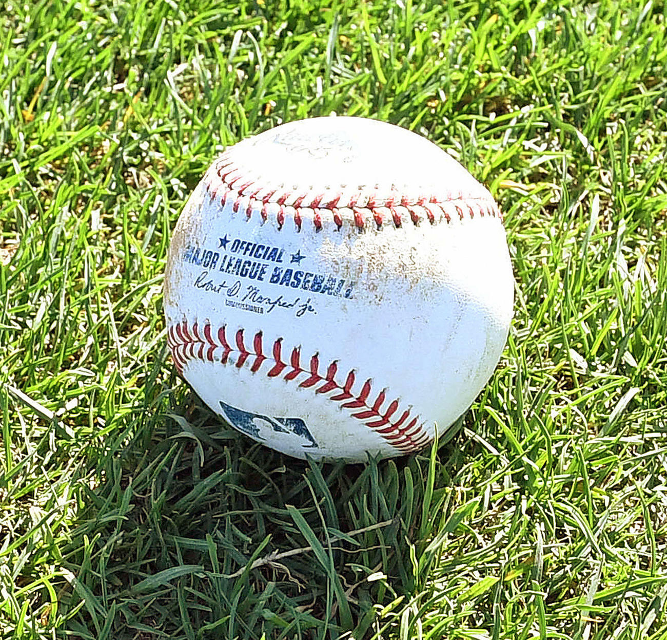 大リーグ公式球（2020年2月撮影）