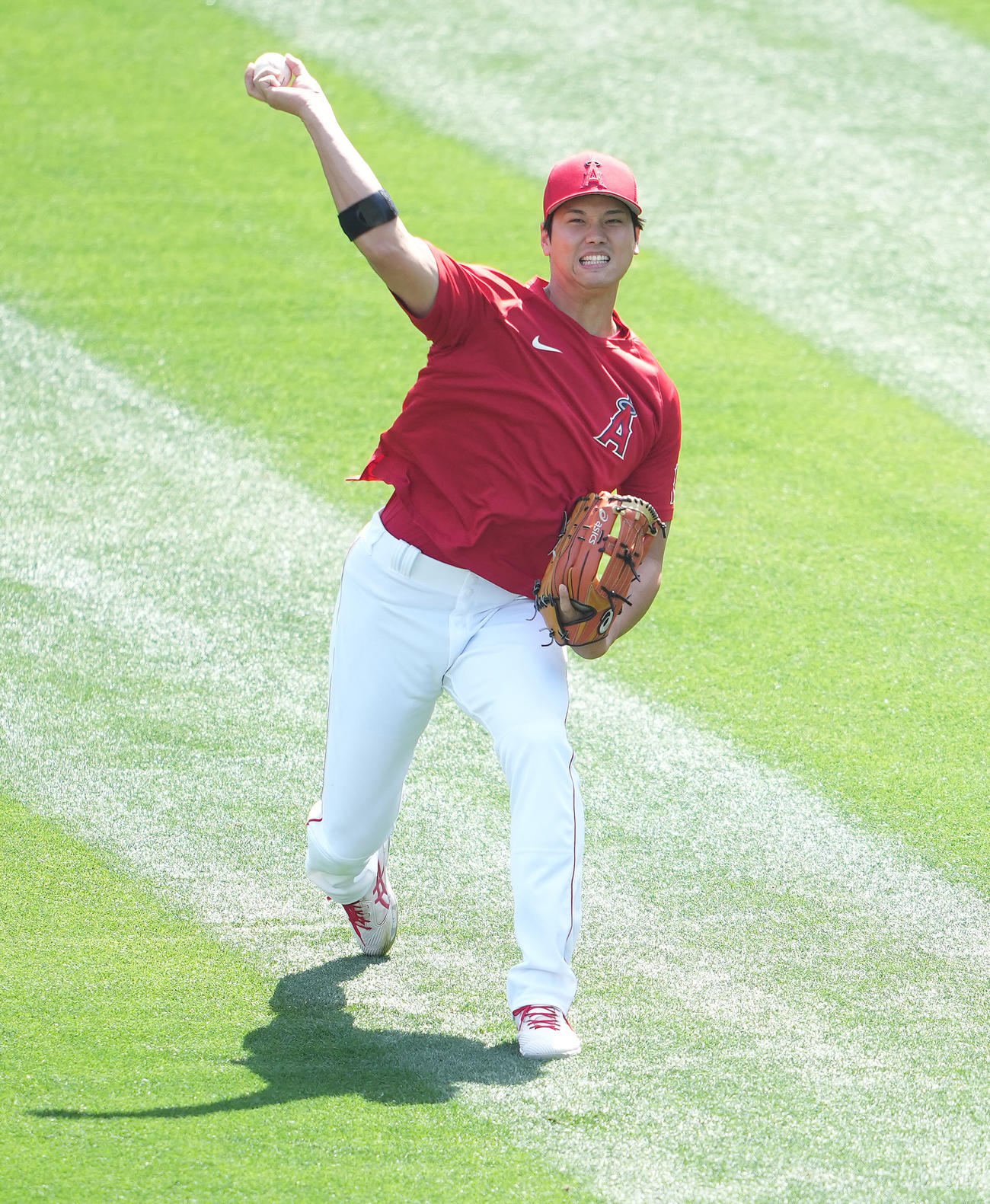エンゼルス対マーリンズ　試合前練習でキャッチボールするエンゼルス大谷（撮影・鈴木みどり）