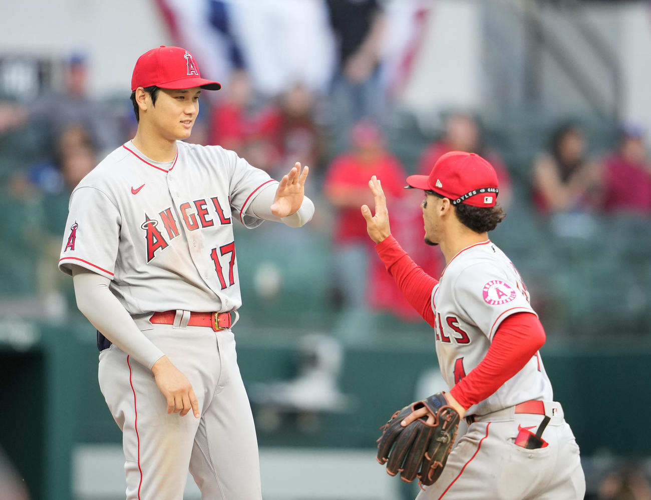 レンジャーズ対エンゼルス　レンジャーズに勝利しナインを迎えるエンゼルス大谷（撮影・鈴木みどり）