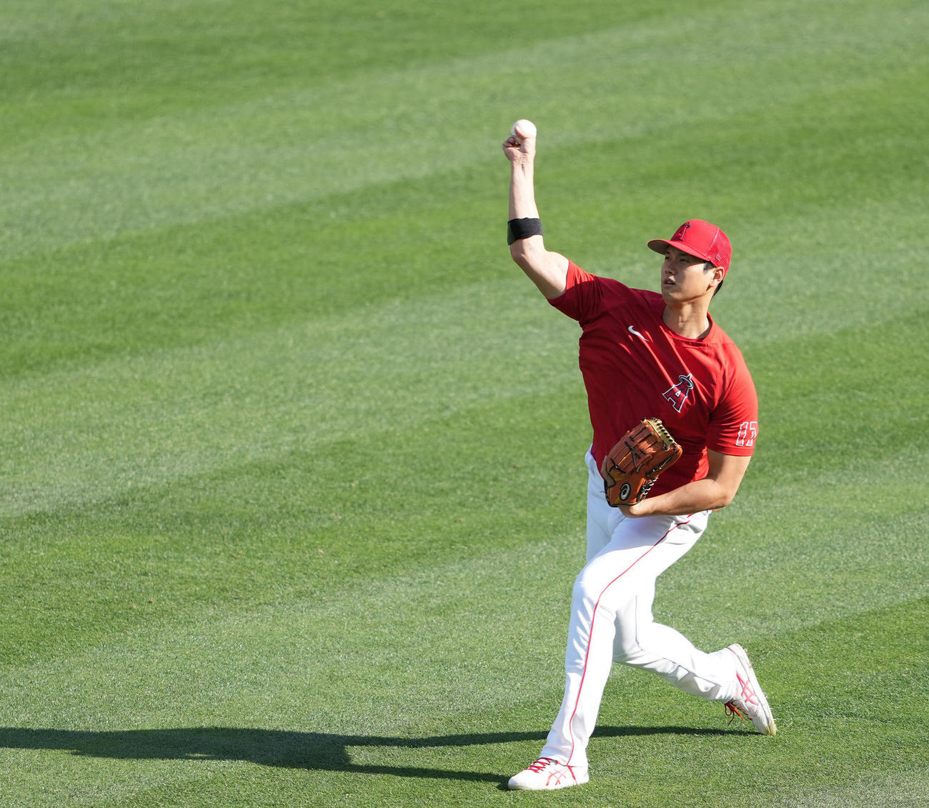 試合前練習でキャッチボールするエンゼルス大谷（撮影・鈴木みどり）