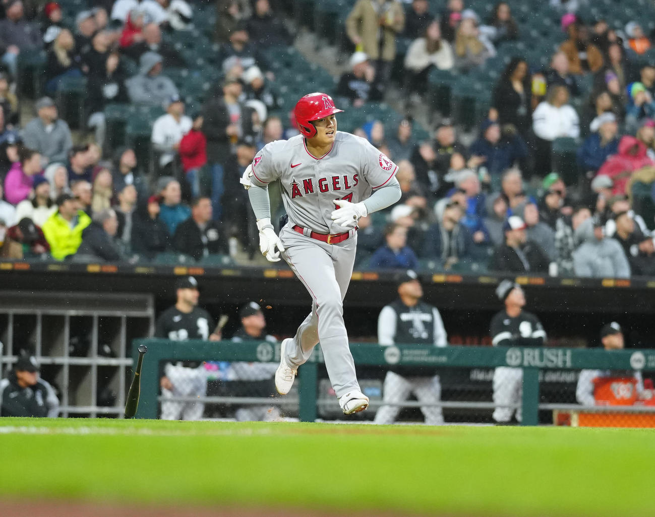 ホワイトソックス対エンゼルス　4回表エンゼルス無死、中飛に倒れる大谷（撮影・江口和貴）