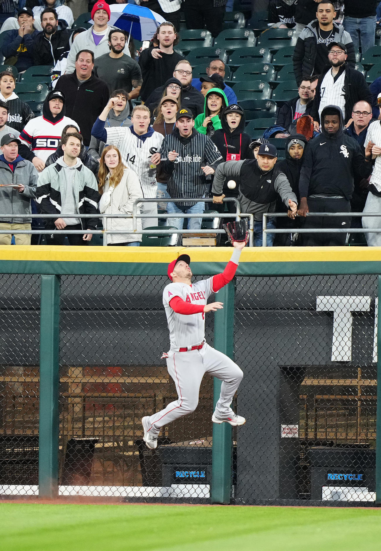 ホワイトソックス対エンゼルス　4回裏ホワイトソックス2死、アブレイユの打球を好捕する中堅手トラウト（撮影・江口和貴）